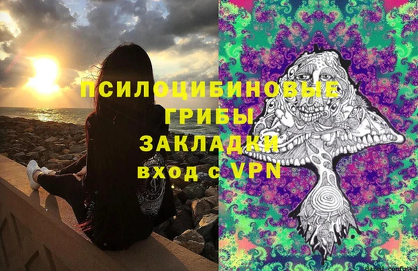 кокс Алексин
