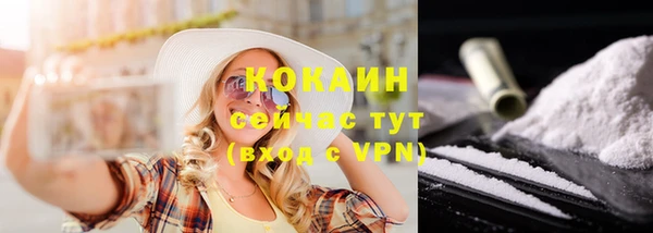 кокс Алексин
