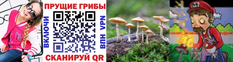 Галлюциногенные грибы MAGIC MUSHROOMS  OMG рабочий сайт  Могоча 