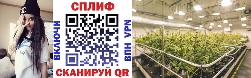 Конопля марихуана  Могоча 